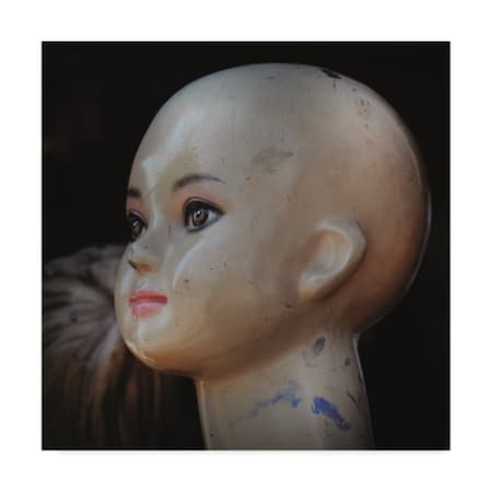 Christine Sainte-Laudy 'Doll Head' Canvas Art,24x24